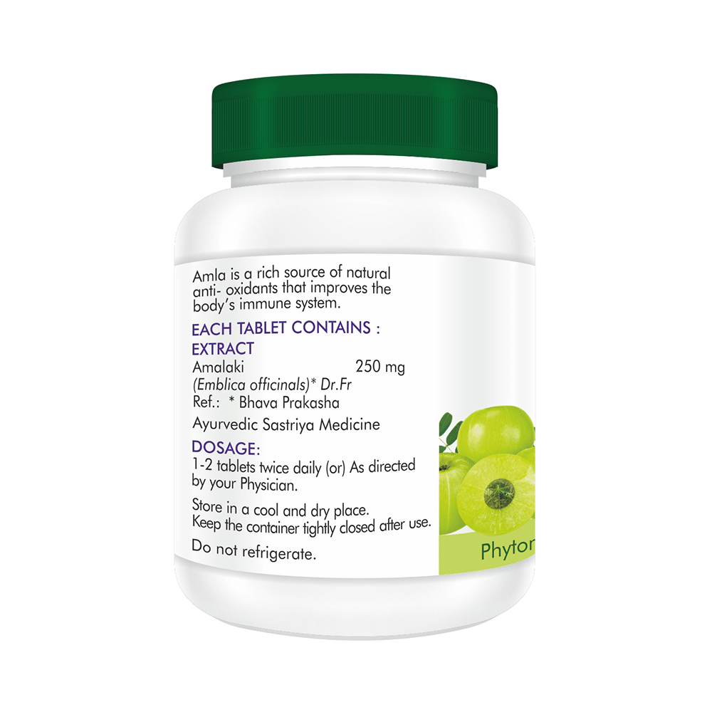 Herbodaya Amla Tablet - Image 2