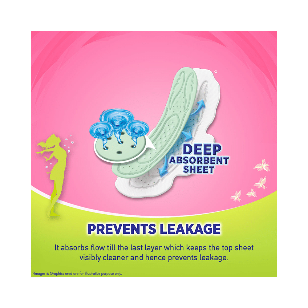 Sofy Antibacteria Pads XL - Image 6