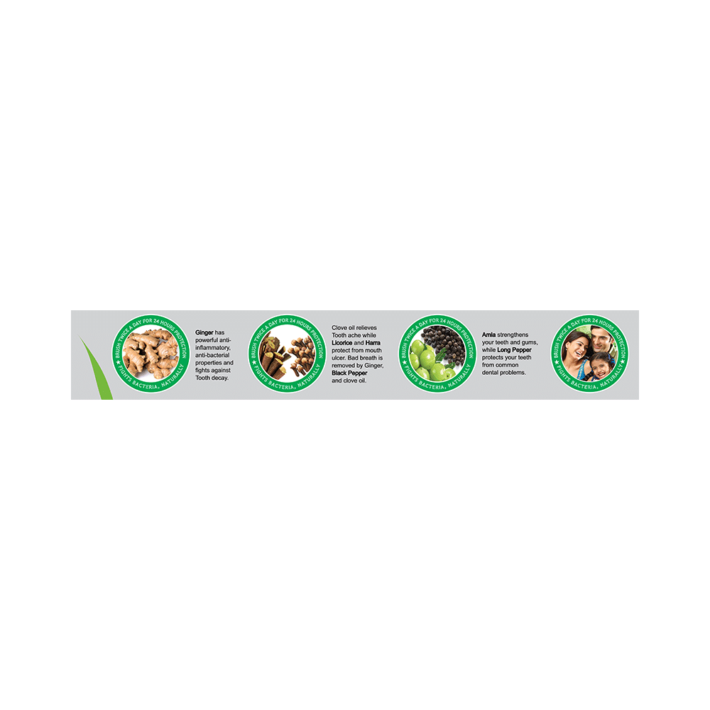 K.P. Namboodiri's Herbal Toothpaste - Image 3