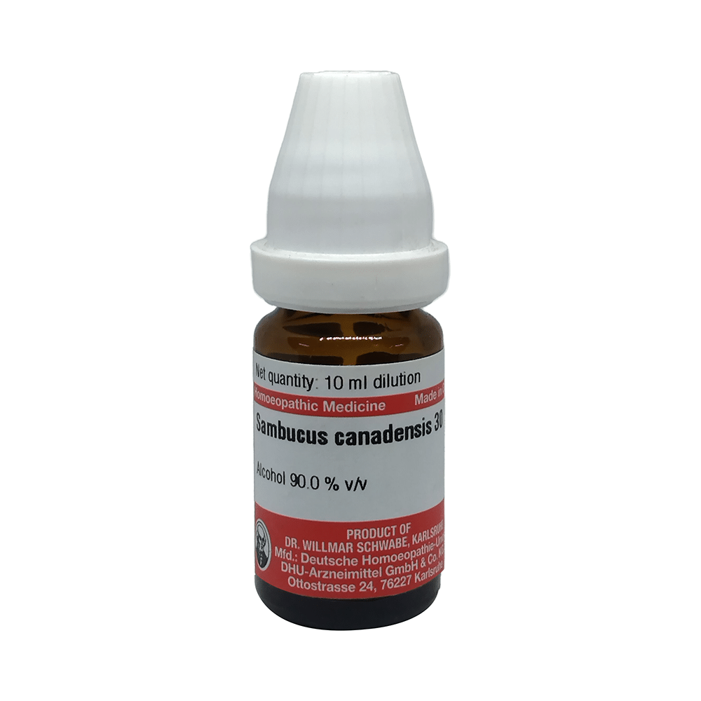 Dr Willmar Schwabe Germany Sambucus Canadensis Dilution 30