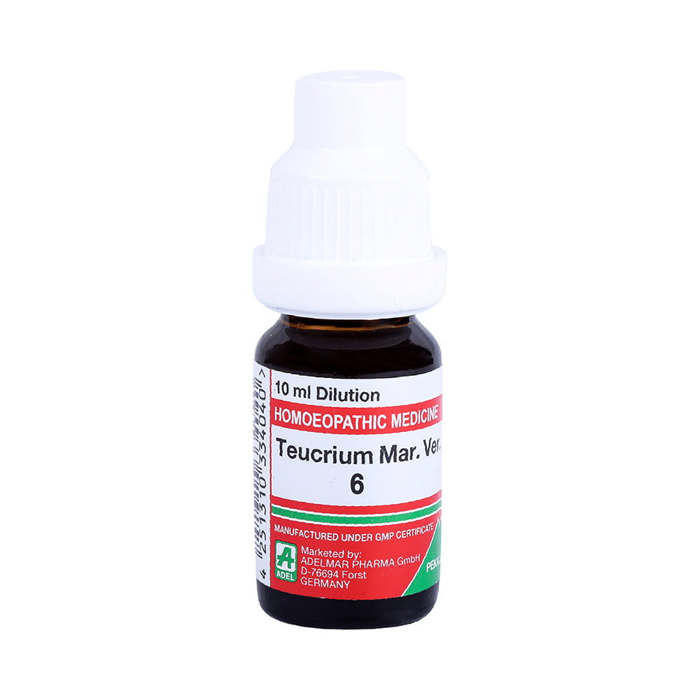 ADEL Teucrium Mar. Ver. Dilution 6 - Image 1