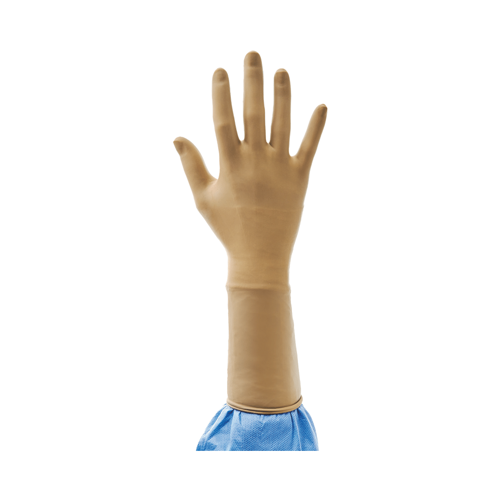 Ansell Encore Latex Micro Powder Free Surgical Glove 7.5 - Image 5