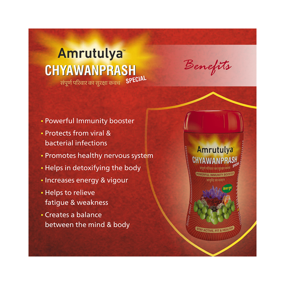 Amrut Chyawanprash Special (500gm Each) - Image 6
