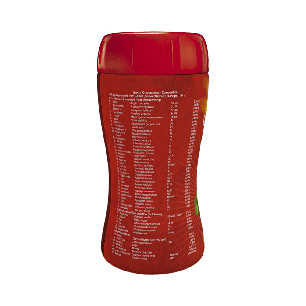 Amrut Chyawanprash Special (500gm Each) - Image 3