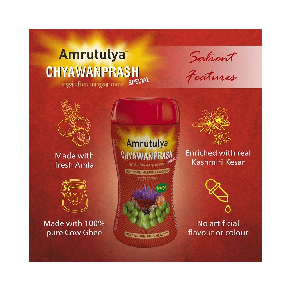 Amrut Chyawanprash Special (500gm Each) - Image 7