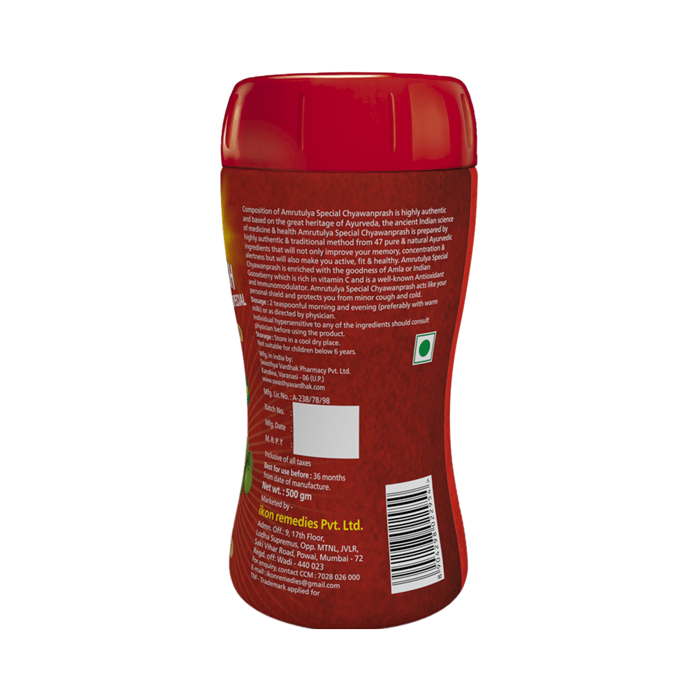 Amrut Chyawanprash Special (500gm Each) - Image 2