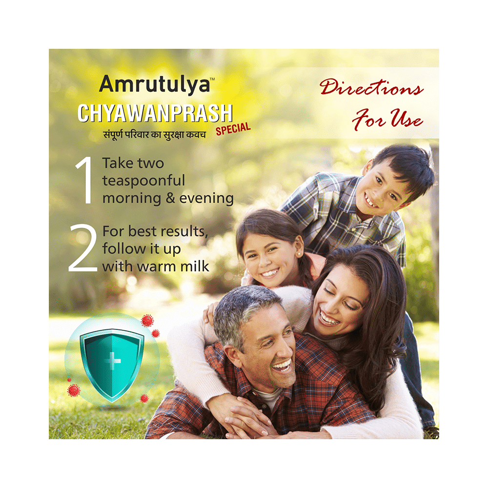 Amrut Chyawanprash Special (500gm Each) - Image 8