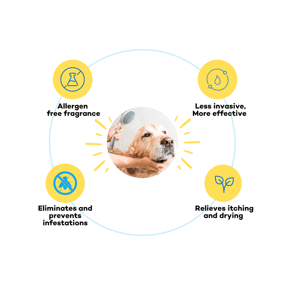 The Good Paws Tick Tick Boop Flea & Tick Dog Shampoo - Image 4