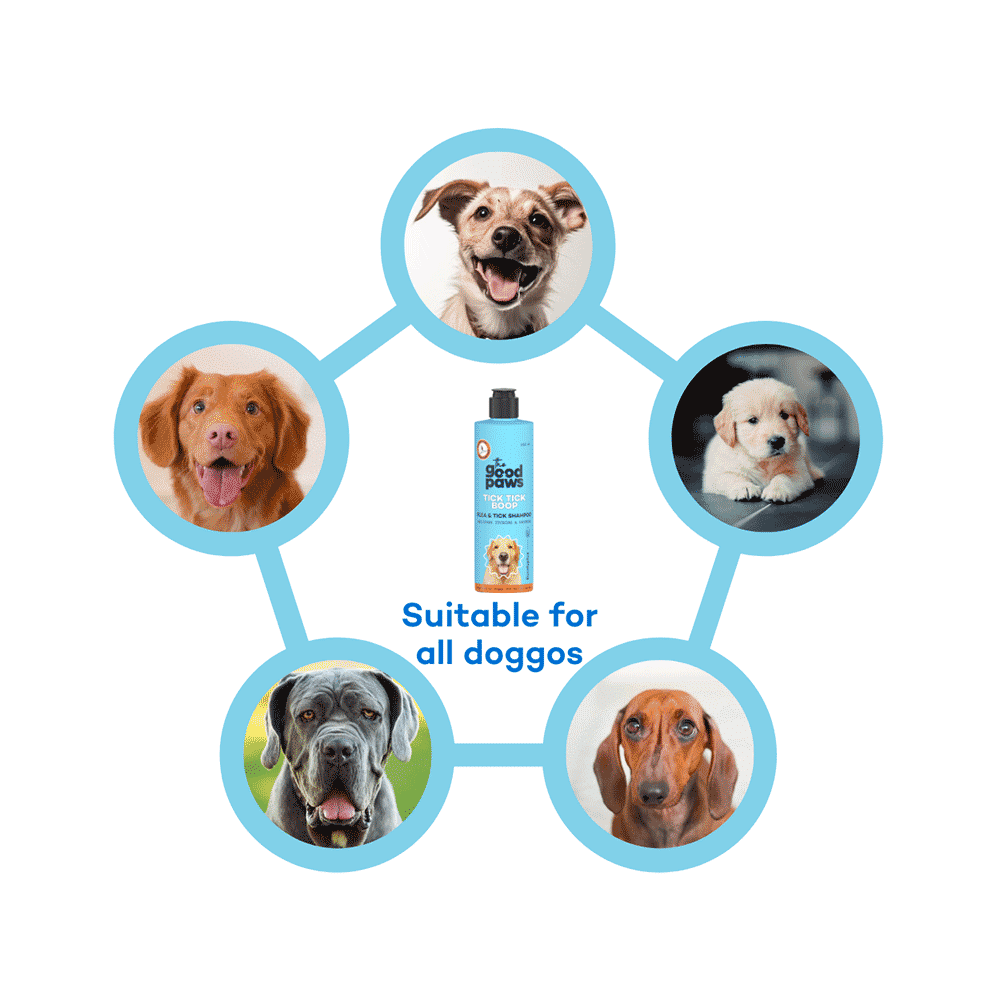 The Good Paws Tick Tick Boop Flea & Tick Dog Shampoo - Image 8