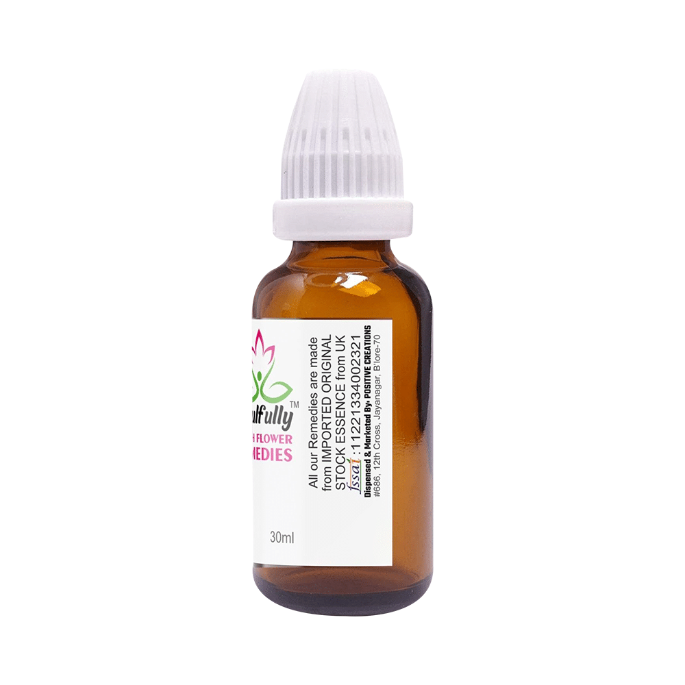 Soulfully Vine Bach Flower Remedies Drops - Image 2