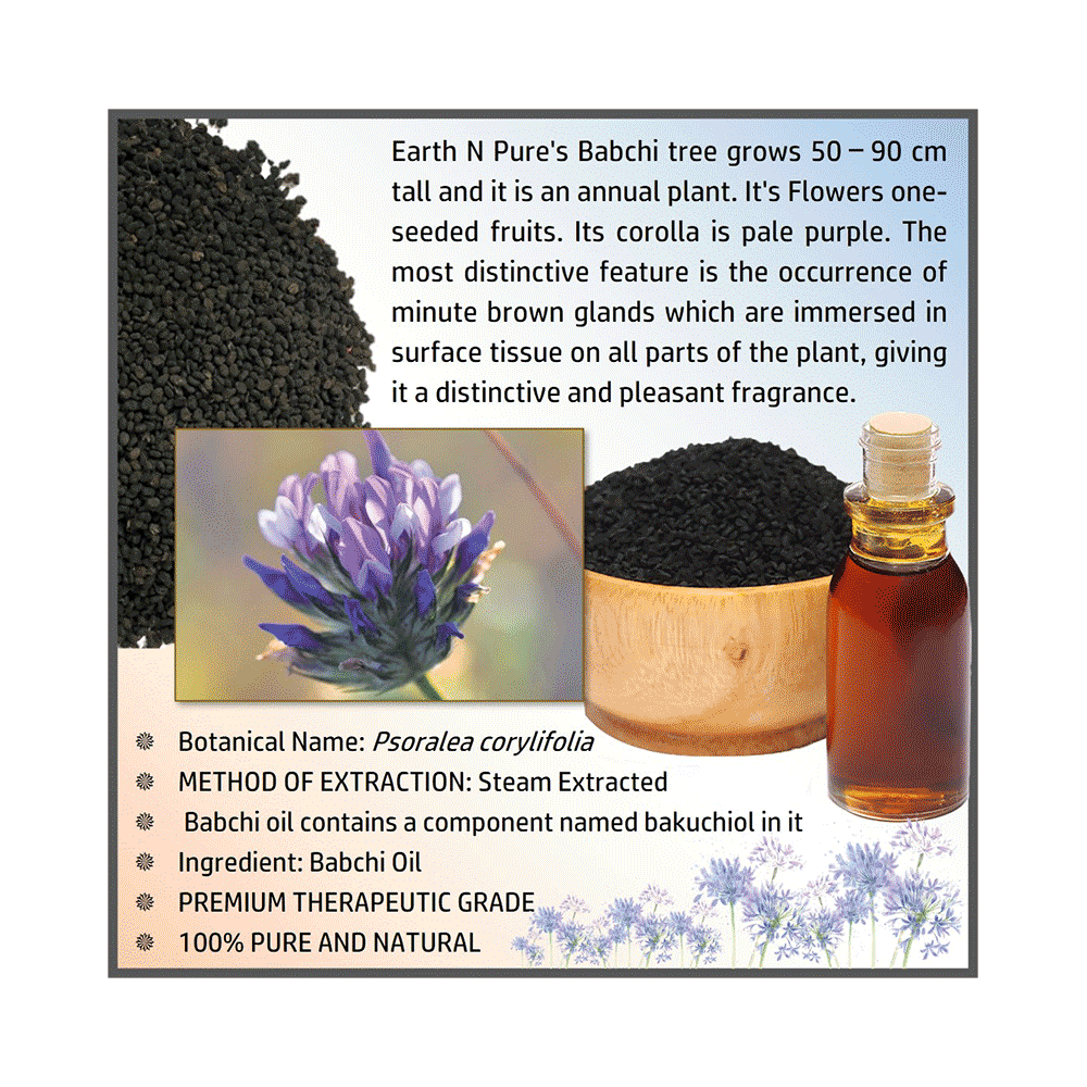 Earth N Pure Babchi Oil - Image 5