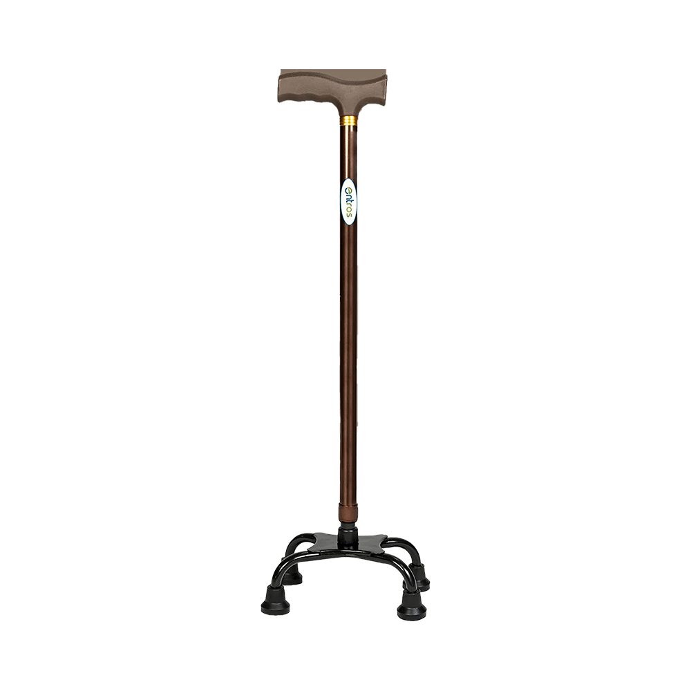 Entros KL934 4 Leg Color Coated Straight Walking Stick - Image 1
