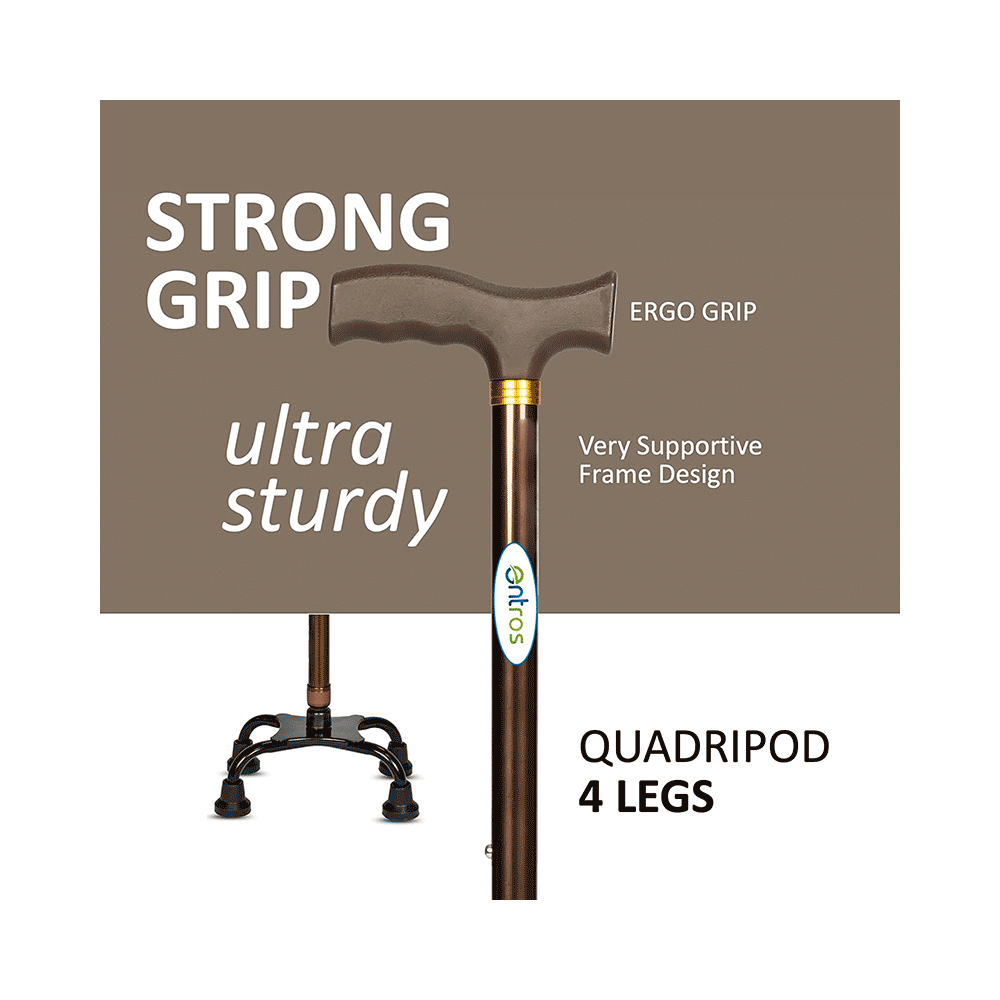 Entros KL934 4 Leg Color Coated Straight Walking Stick - Image 4