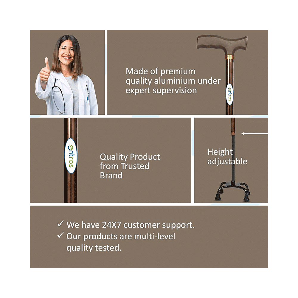 Entros KL934 4 Leg Color Coated Straight Walking Stick - Image 8