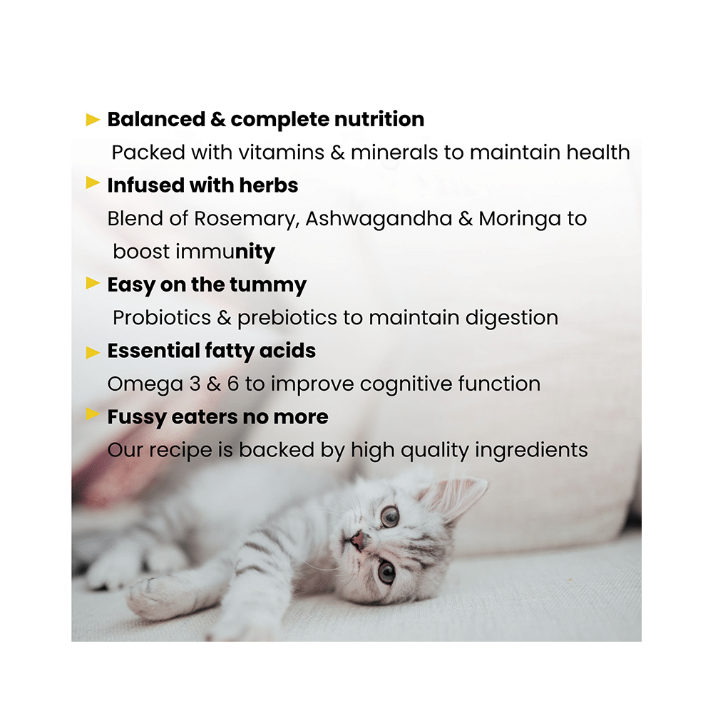 Kittibles Cat Food (1 Year of Age) for Skin, Vision & Energy - Image 4