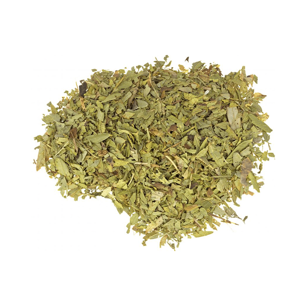JJW Mart Indian Senna - Image 3