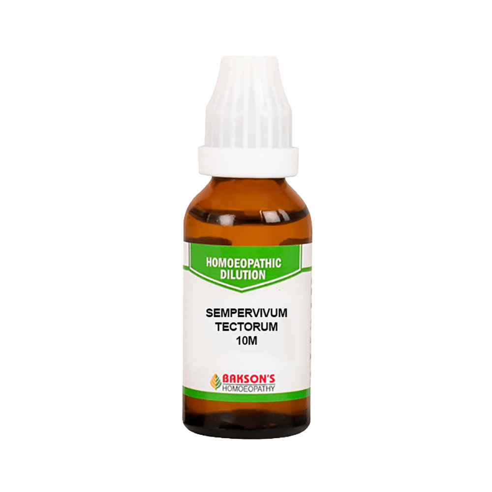 Bakson's Homeopathy Sempervivum Tectorum Dilution 10M - Image 2