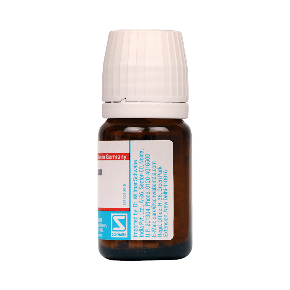 Dr Willmar Schwabe Germany Calcarea Fluorica Biochemic Tablet 6X - Image 2