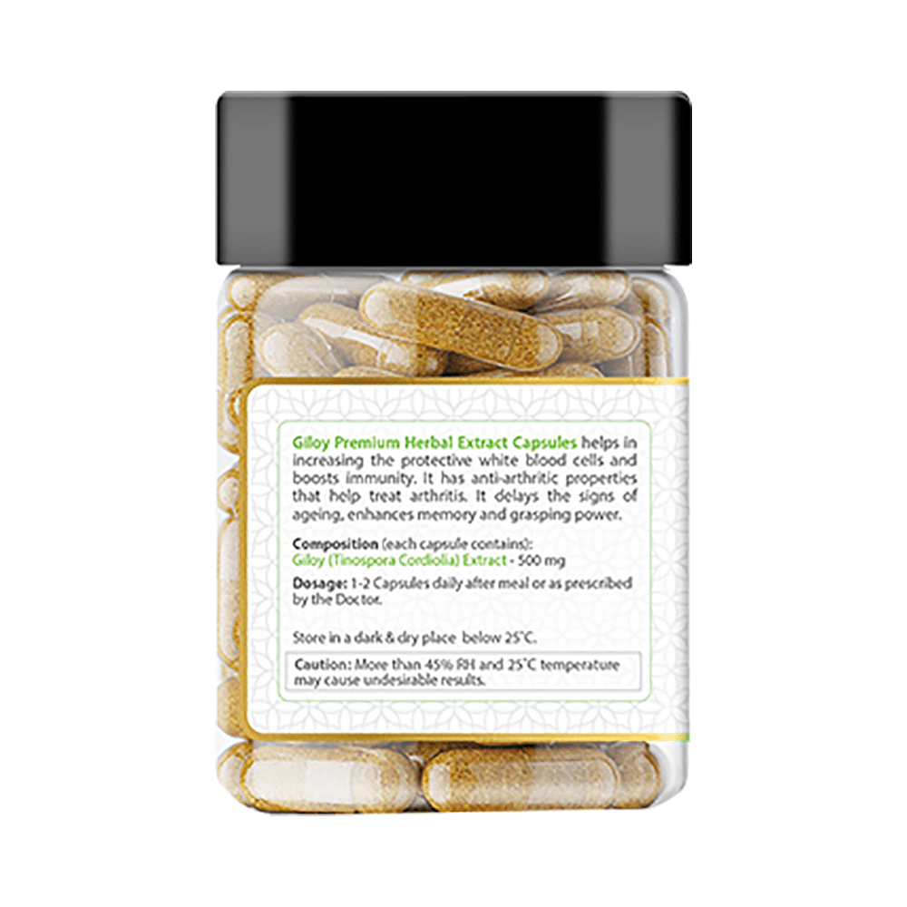 Live Immune Giloy Extract Capsule - Image 2