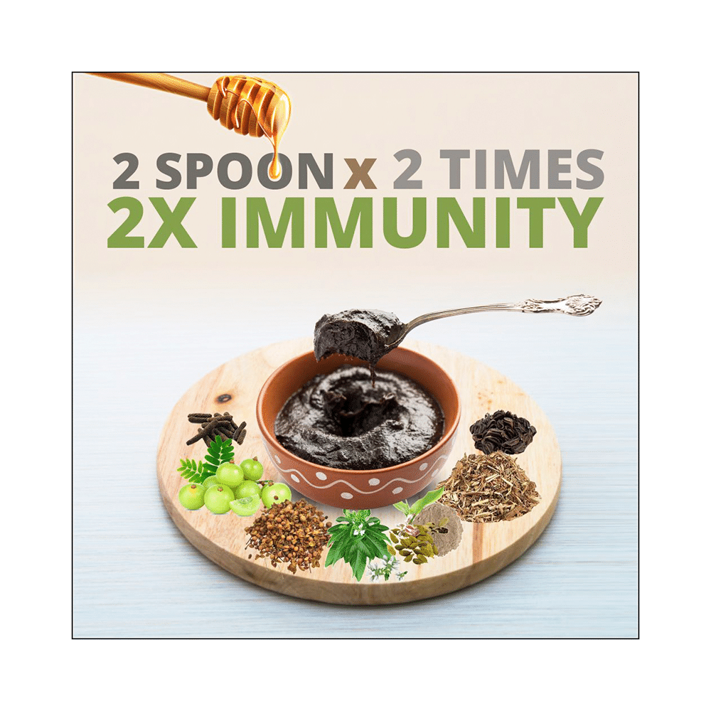 Axiom Chyawanprash Royal Ayurvedic Supplement | For Immunity, Detoxification & Antioxidant Support - Image 6