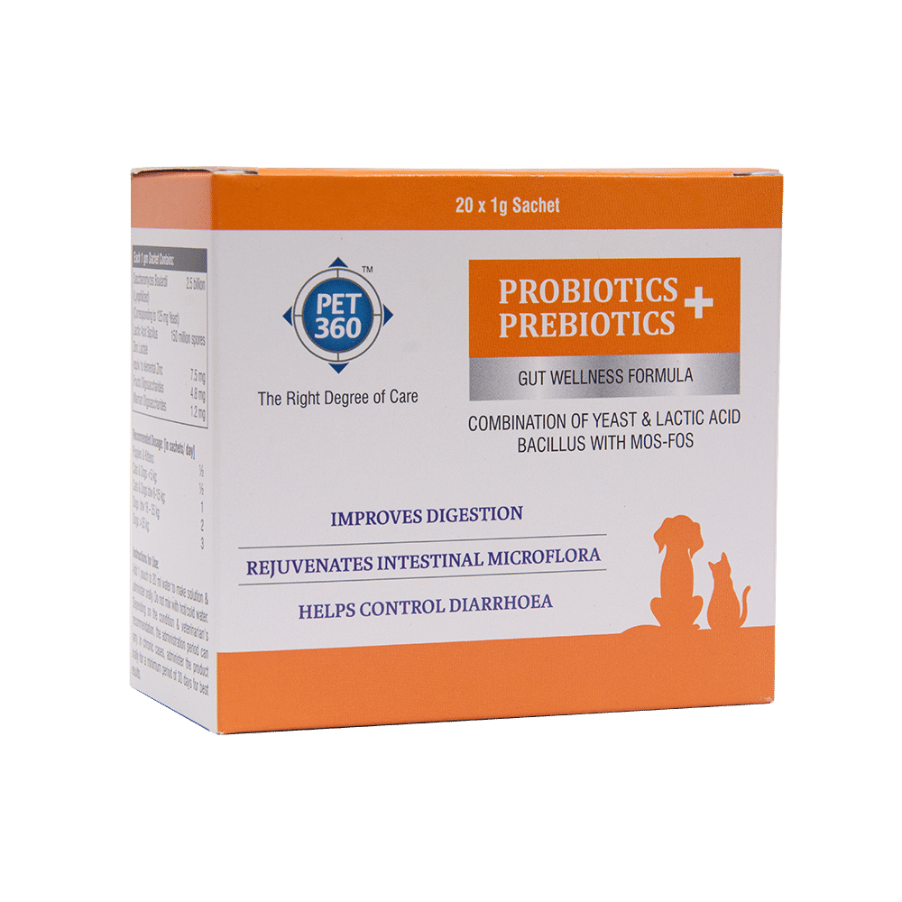 Pet 360 Probiotics + Prebiotics Gut Wellness Formula Schet (1gm Each) - Image 1