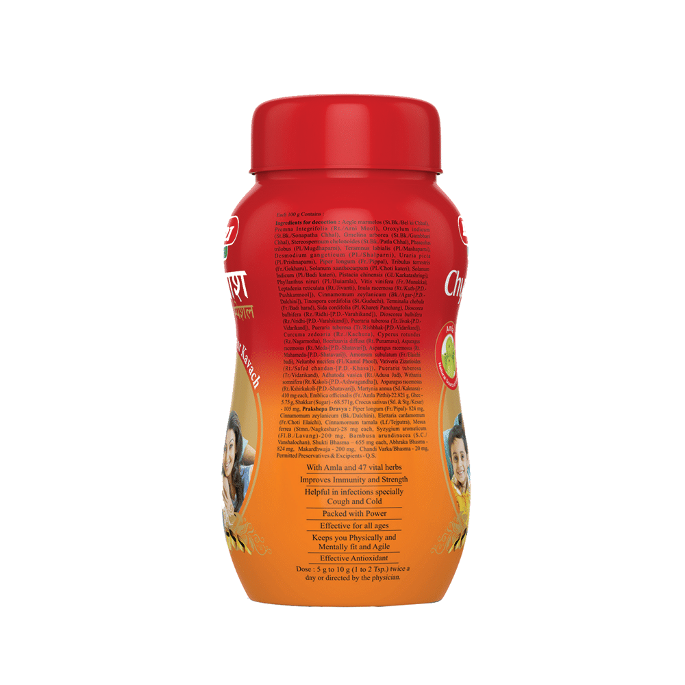 Baidyanath (Nagpur) Chyawanprash Special with Amla | For Immunity - Image 2