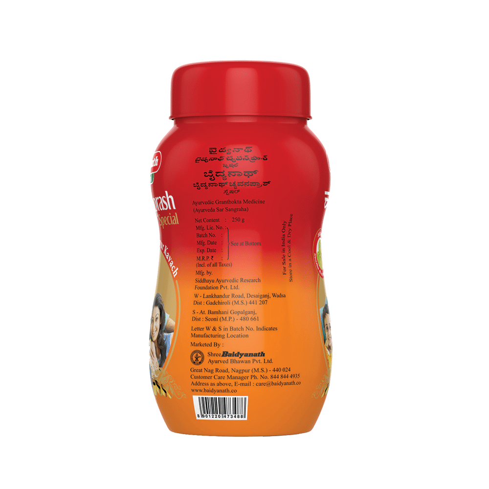 Baidyanath (Nagpur) Chyawanprash Special with Amla | For Immunity - Image 4