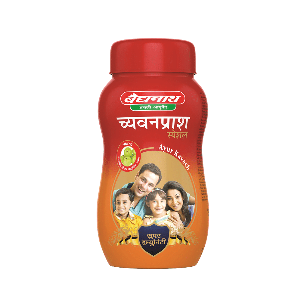 Baidyanath (Nagpur) Chyawanprash Special with Amla | For Immunity - Image 3