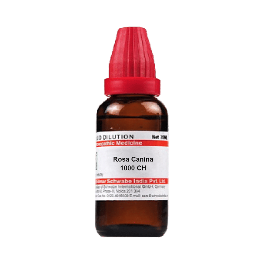 Dr Willmar Schwabe India Rosa Canina Dilution 1000 CH - Image 1