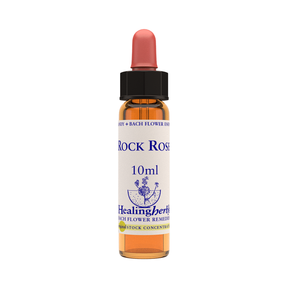 Healing Herbs Bach Flower Rock Rose - Image 1