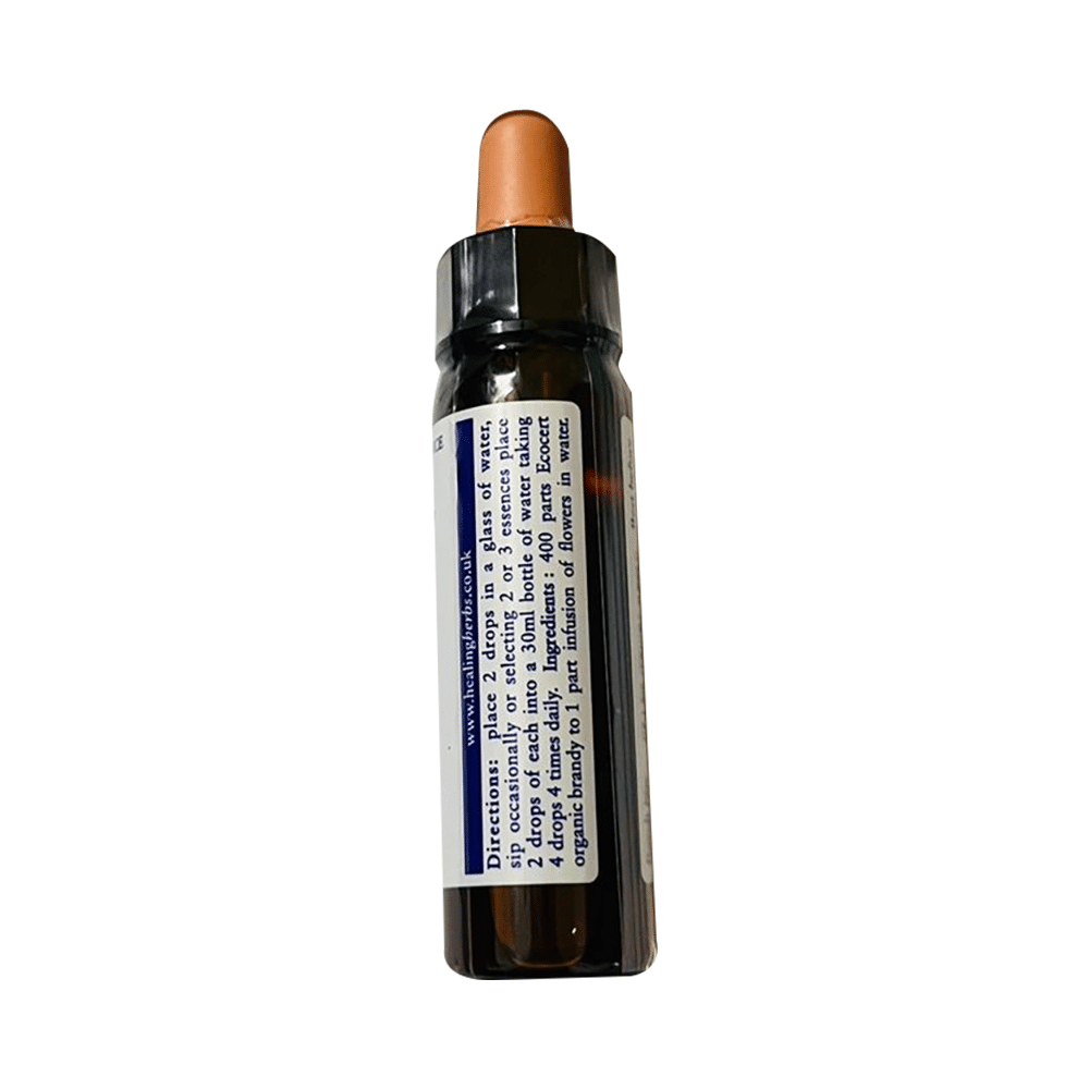 Healing Herbs Bach Flower Rock Rose - Image 2