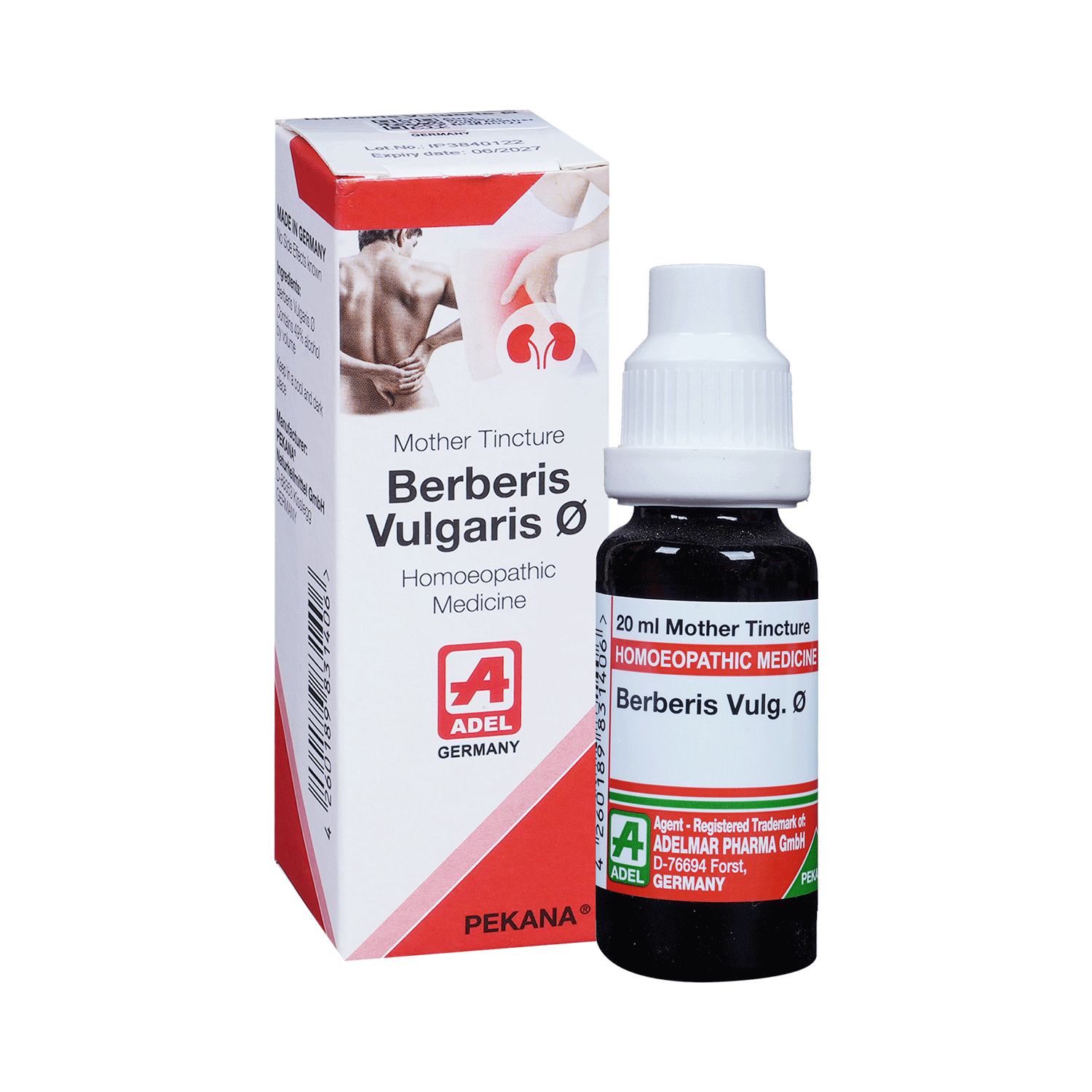 ADEL Berberis Vulg Mother Tincture Q