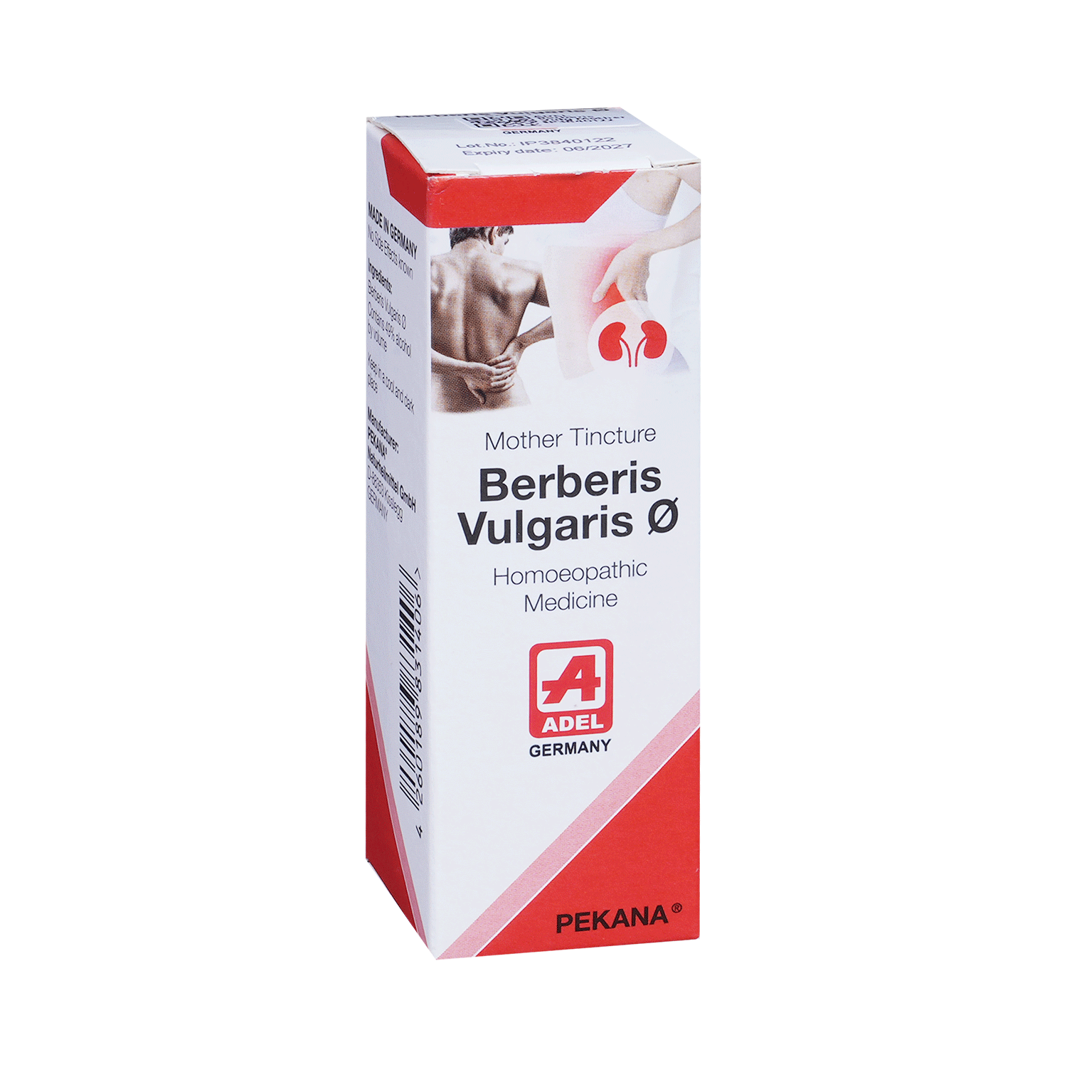 ADEL Berberis Vulg Mother Tincture Q - Image 2