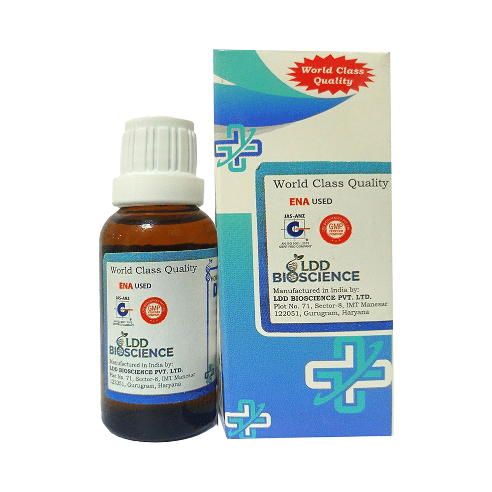 LDD Bioscience Abrotanum Dilution 1000 CH - Image 3