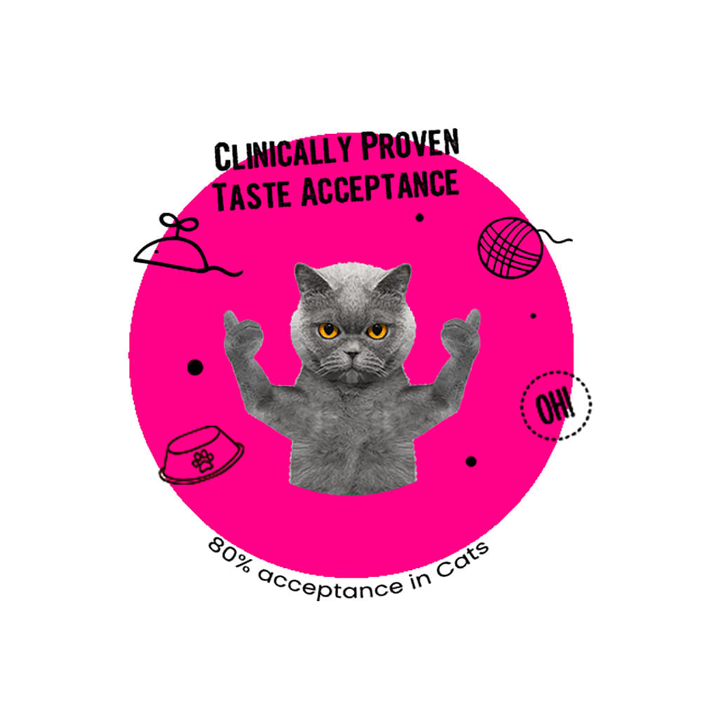 Bark Out Loud Easy Pill Cat Sachet (10gm Each) - Image 4