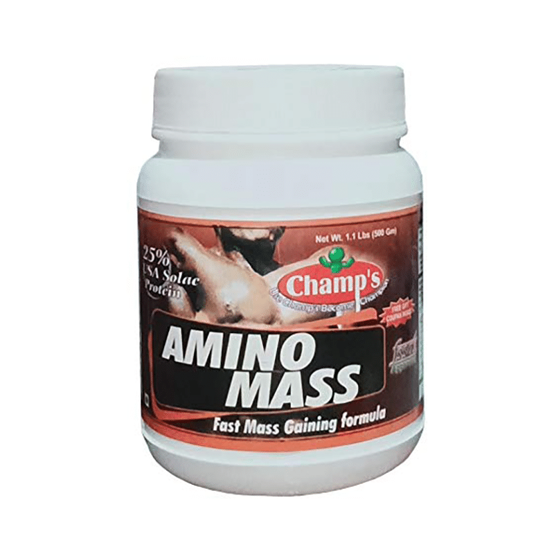 Champ's Amino Mass Chocolate Brownie - Image 1