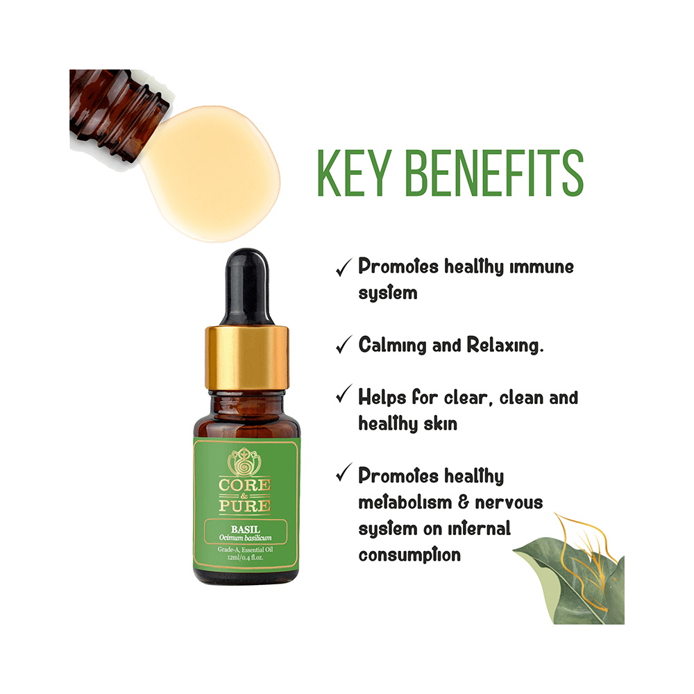 Core & Pure Basil Essential Oil - Image 4