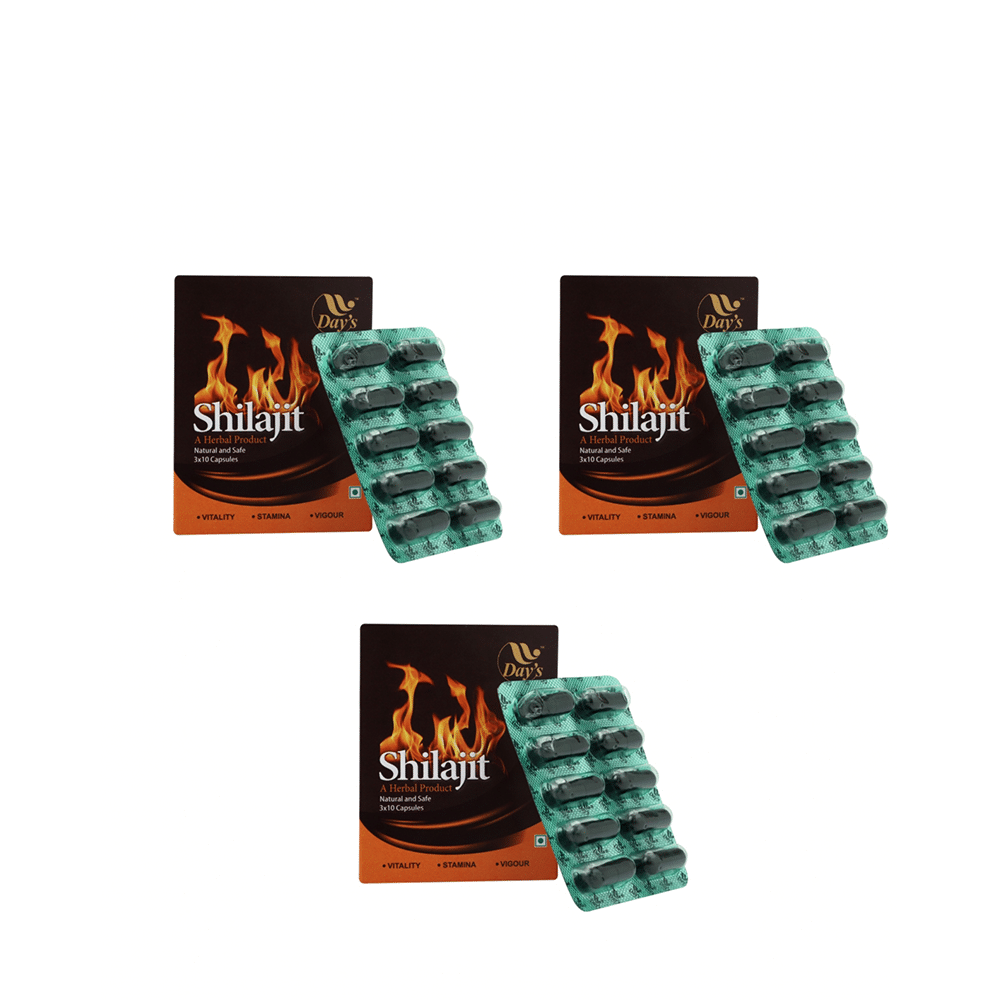 Day's Shilajit Capsule (30 Each)
