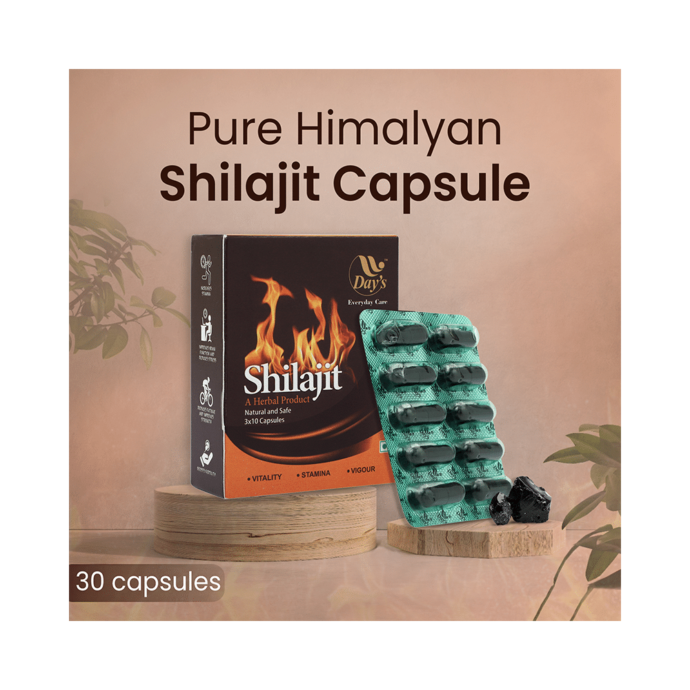 Day's Shilajit Capsule (30 Each) - Image 4