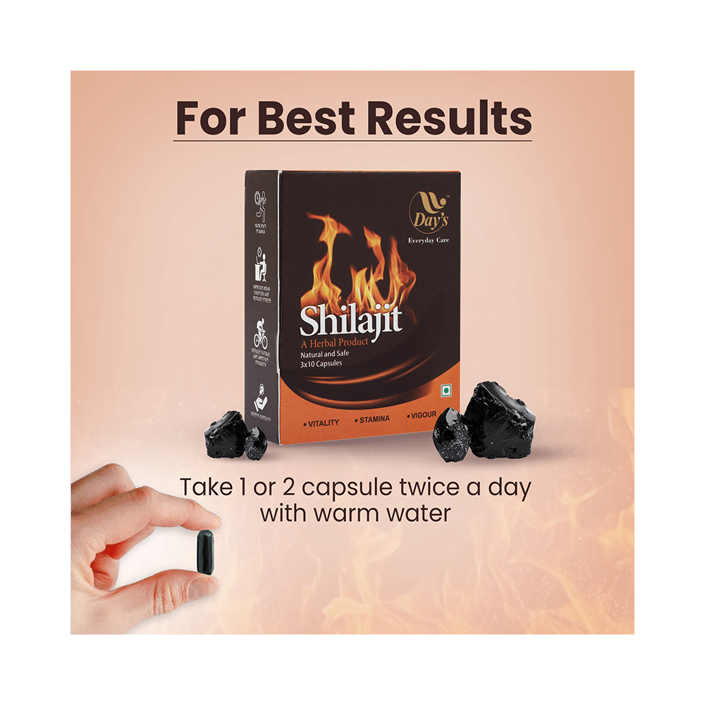 Day's Shilajit Capsule (30 Each) - Image 7
