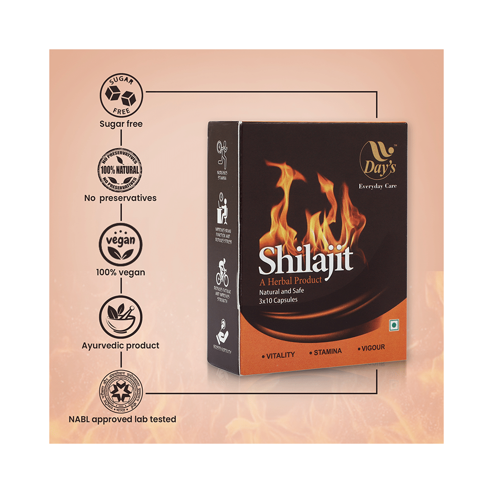 Day's Shilajit Capsule (30 Each) - Image 6