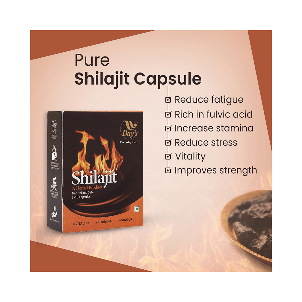 Day's Shilajit Capsule (30 Each) - Image 5