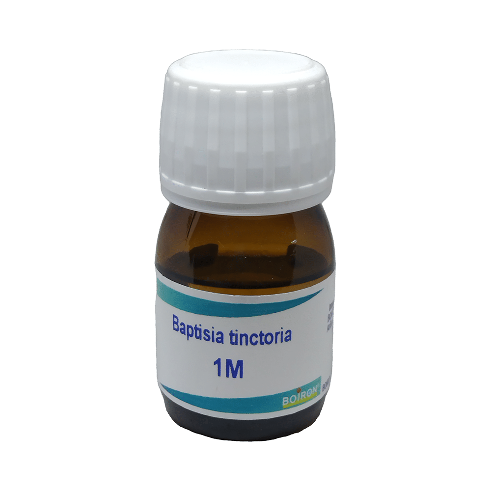 Boiron Baptisia Tinctoria Dilution 1M