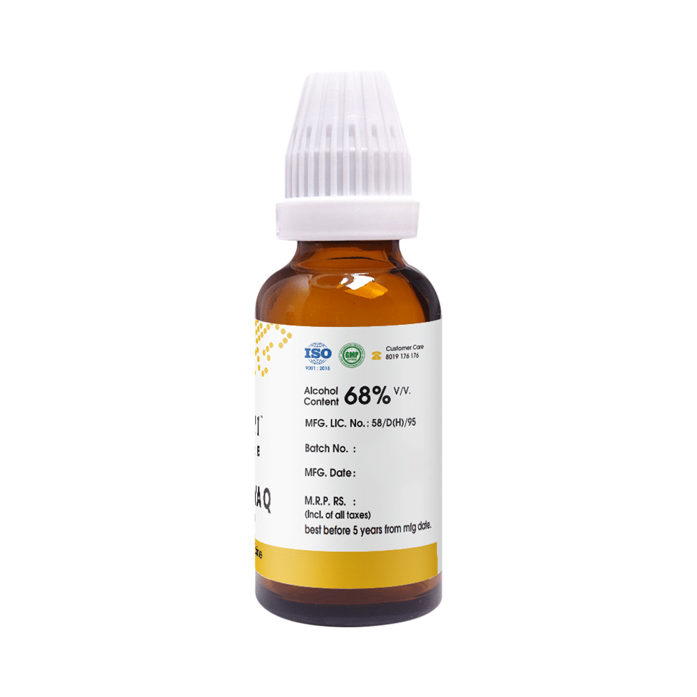 Pioneer Pharma Mother Tincture Pareira Brava Q - Image 2