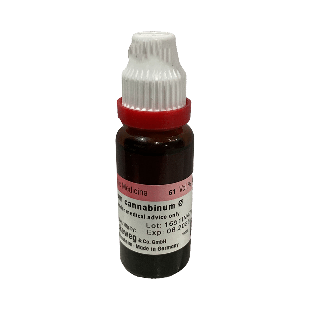Dr. Reckeweg Apocynum Can Mother Tincture Q - Image 2