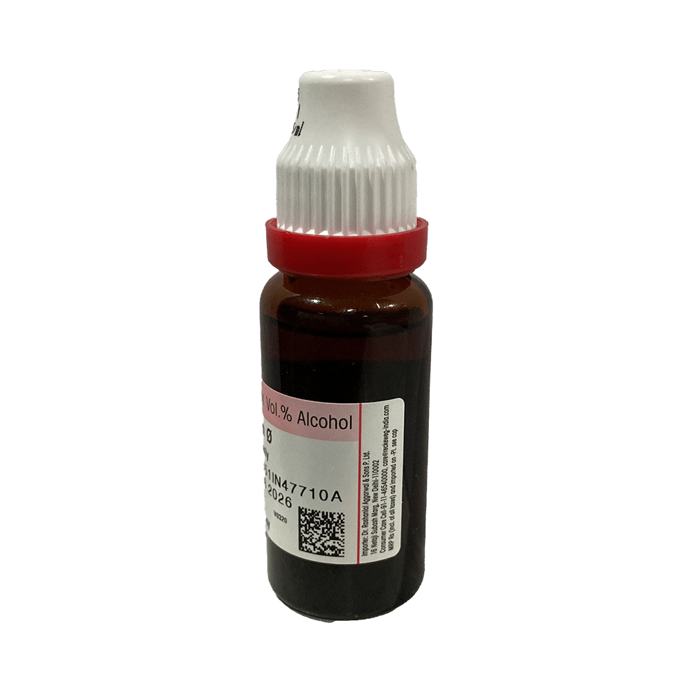 Dr. Reckeweg Apocynum Can Mother Tincture Q - Image 4