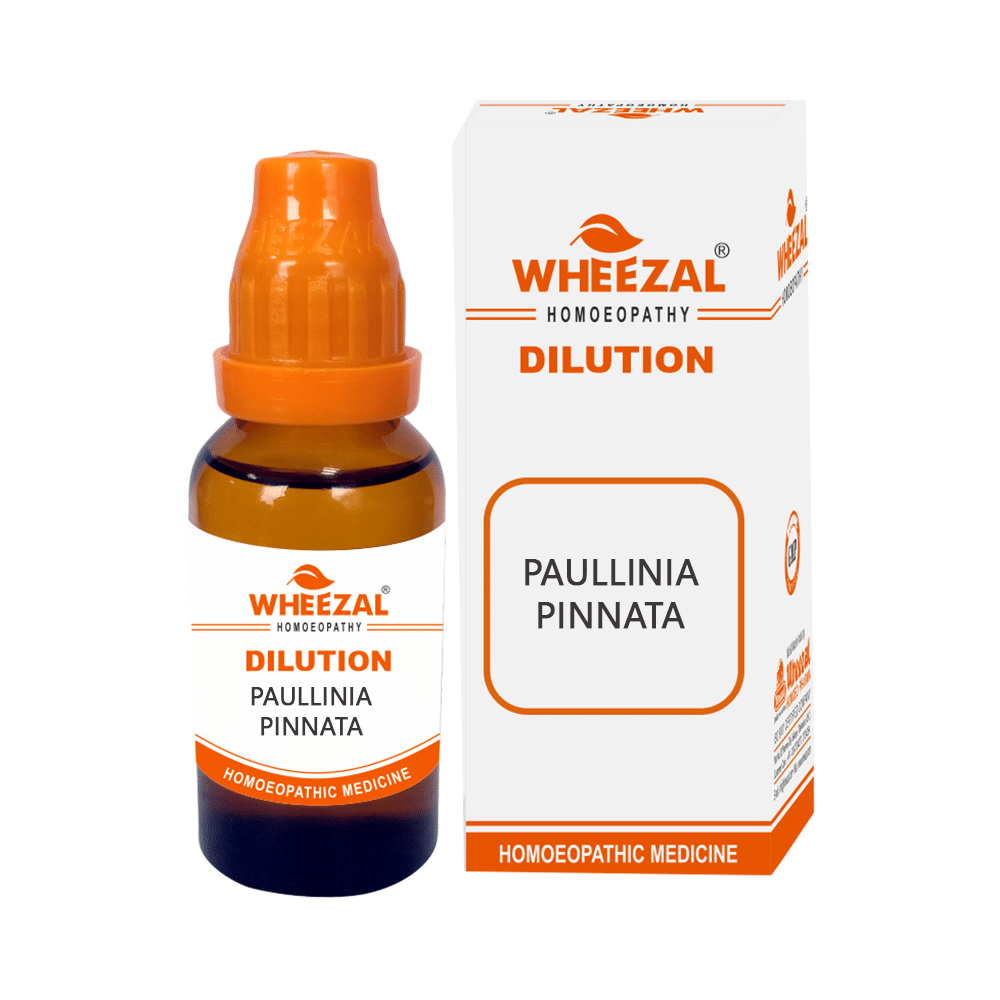Wheezal Paullinia Pinnata Dilution 10M - Image 1