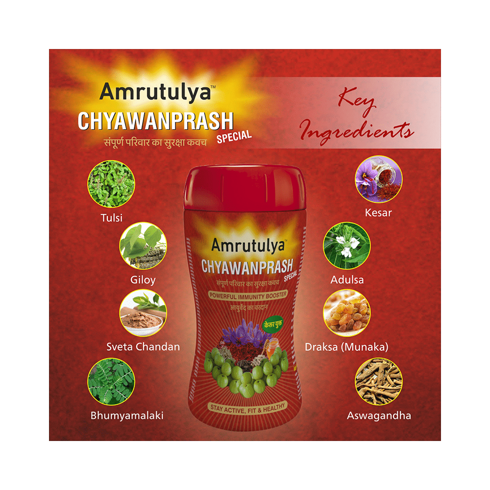 Amrut Chyawanprash Special (500gm Each) - Image 5