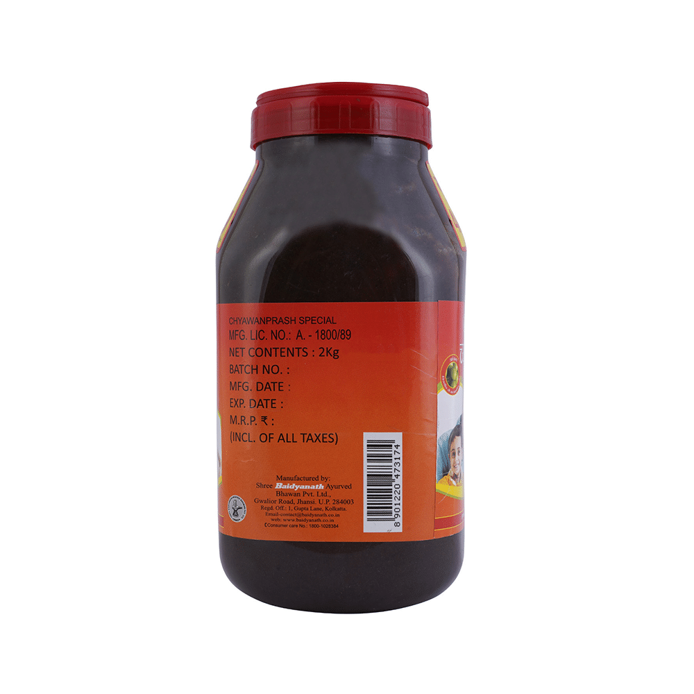 Baidyanath (Jhansi) Chyawanprash Special - Image 4