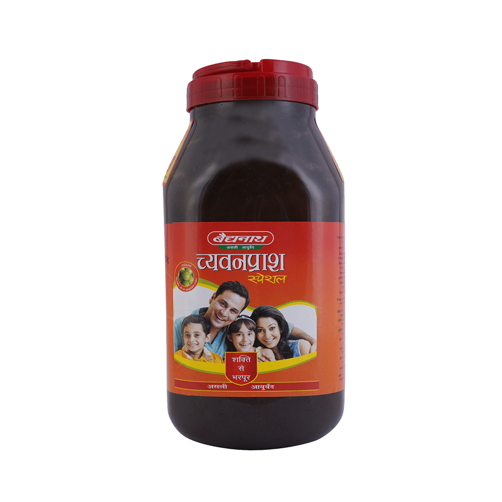 Baidyanath (Jhansi) Chyawanprash Special - Image 2